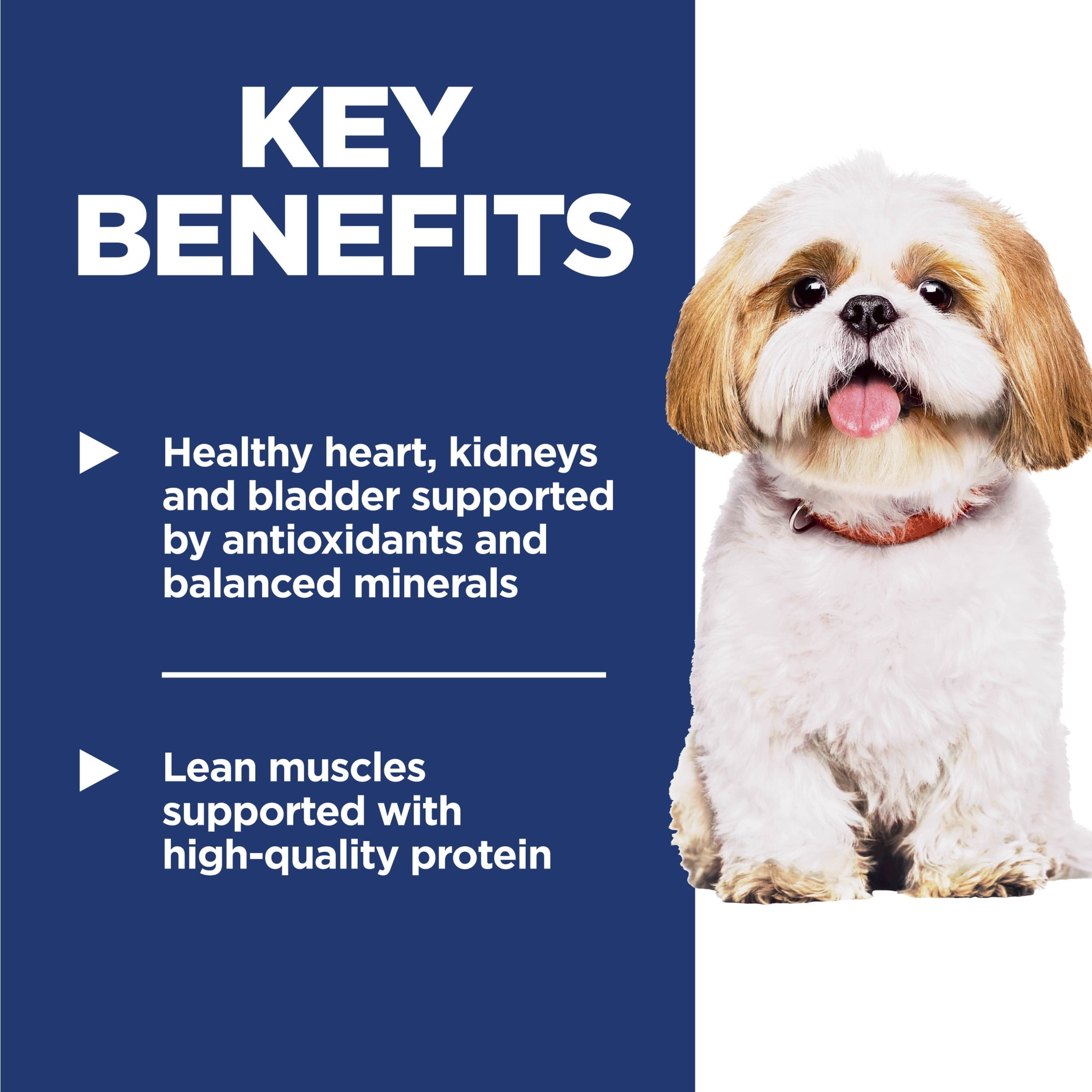 Hill's Science Diet Small Bites Chicken, Barley & Rice Dry Dog Food for 7+ Senior Dogs, 33lb Bag
