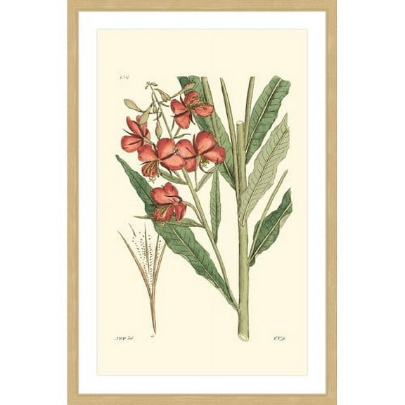 "Antique Floral III" Framed Painting Print