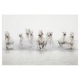 thumbnail image 1 of Cuadros Decorativos - Caballos blancos Jr  Canvas, 1 of 2