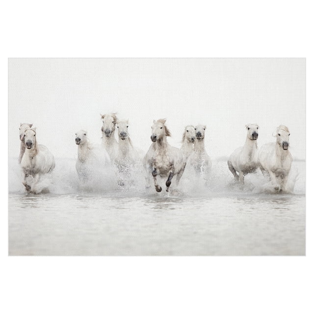 Cuadros Decorativos - Caballos blancos Jr Canvas