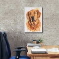 thumbnail image 3 of Epic Graffiti 'Golden Retriever 2' by Barbara Keith, Canvas Wall Art, 18"x26", 3 of 8