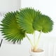 thumbnail image 3 of Bewildely Hojas de palma artificiales para una decoración tropical impresionante y segura Plantas de hojas de palma ampliamente artificiales Decoración palma de la PU, 3 of 6