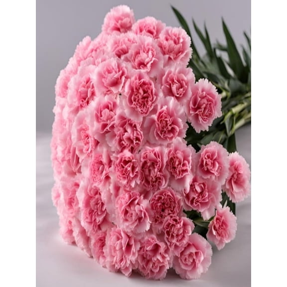 KaBloom: Fall Collection-Bouquet of 18 Pink Carnation without vase,Next-Day Delivery, Gift of Fresh Flowers for Every Occasion.