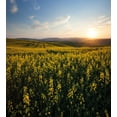 thumbnail image 3 of Landscape Duvet Cover Set, Scenic View Sunset Flower Field Spring Countryside Rural Idyllic Scenery, Decorative 2 Piece Bedding Set with 1 Pillow Shams, Twin Size, Yellow Green Blue, by Ambesonne, 3 of 3
