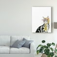 thumbnail image 3 of Trademark Fine Art 'Cool Cat III' Canvas Art by Grace Popp, 3 of 4