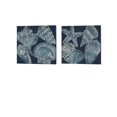 thumbnail image 1 of Marine Shells A by Chariklia Zarris Canvas Art Set of 2 14 inch X 14 inch Each, 1 of 1