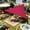 D, variant on Triangle Waterproof Sun Shade Sail, UV Block Canopy Cloth Shelter Cover 95%, Outdoor Awning for Patio Garden Backyard Deck(2x2x2 m)