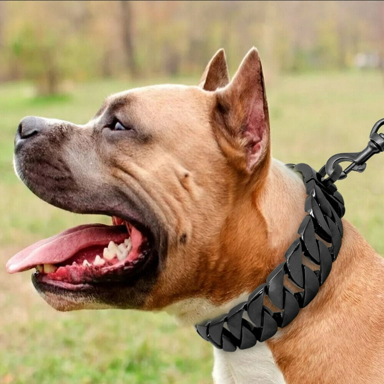 Cuban chain collar online