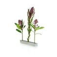 thumbnail image 2 of XXD Boulevard Blumenallee Polished Aluminum Flower Vase – Modern Floating Stem Design, 11.6", 2 of 5
