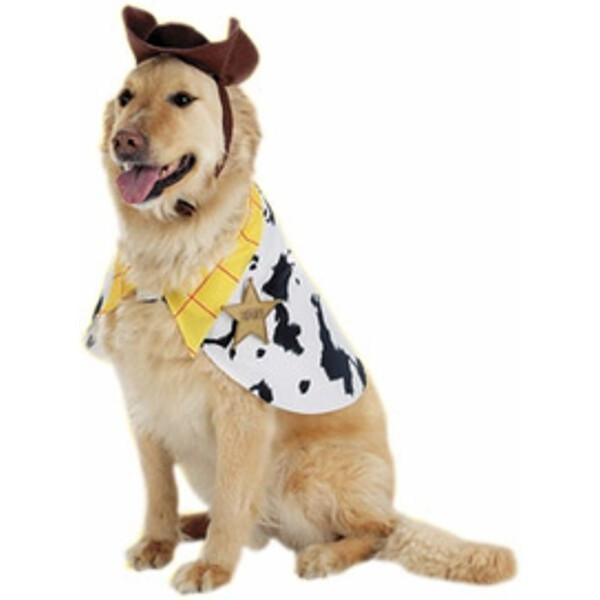 woody dog outfit