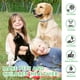 thumbnail image 5 of 2X Collar para mascotas, impermeable, antipulgas, garrapatas, PU, ​​collares antiparasitarios, productos, 5 of 6