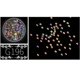 thumbnail image 1 of Glitter Acrylic AB Drill Decoration Nail Art Paillette Sequins Manicure Tool 7#, 1 of 2