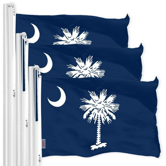 South Carolina SC State Flag 3x5FT 3-Pack 150D Printed Polyester By G128