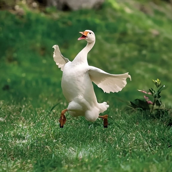 Goose Decorative Garden Stakes- 2D Funny Yard Art for Garden, Yard, Lawn, Outdoor Decor- Idea Goose Gifts for Women, Men