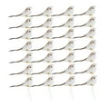 thumbnail image 6 of Raindrops  24 Pcs Lifelike Mini Artificial Birds Simulation Decoration Baby, 6 of 8