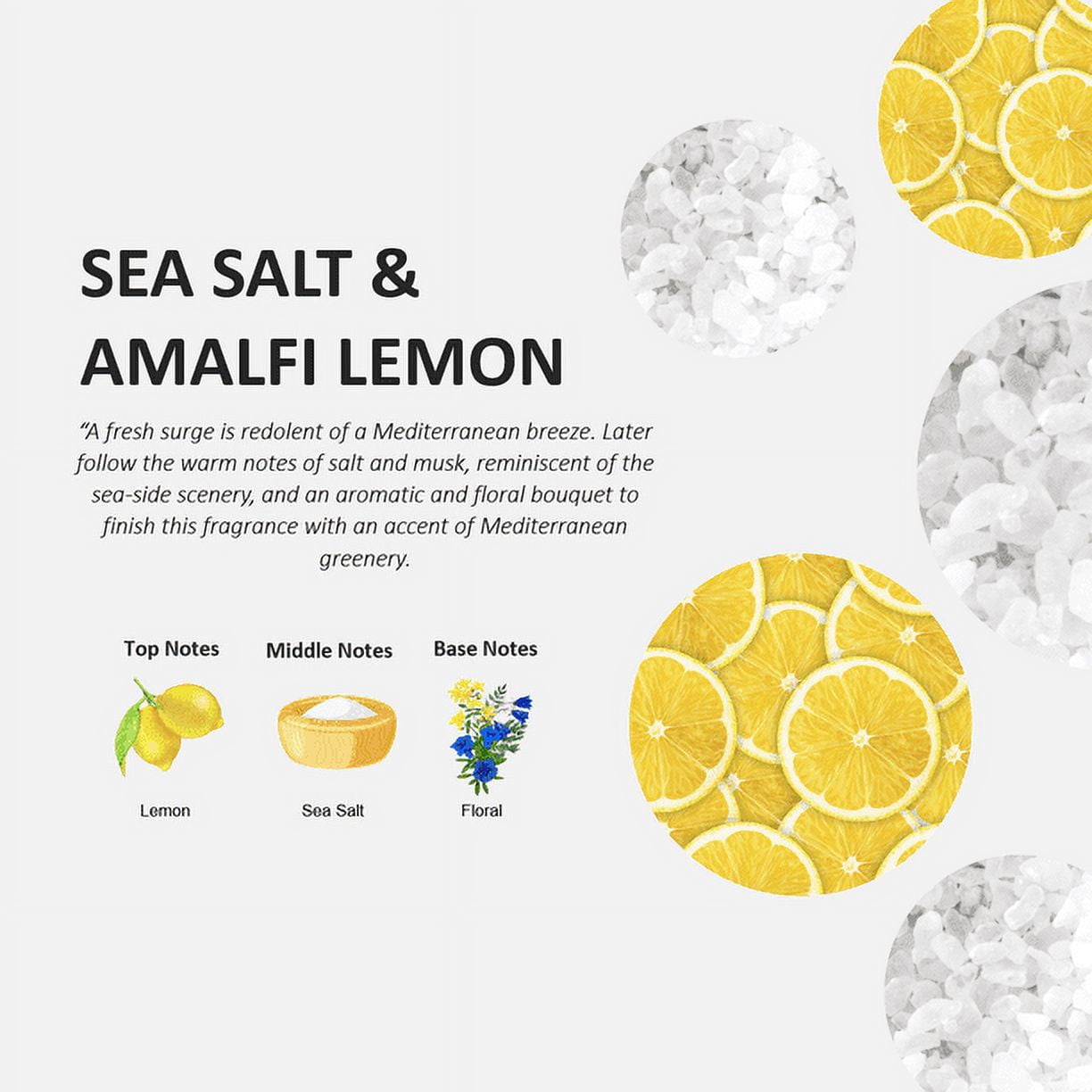 Fruits & Passion Cucina Sea Salt and Amalfi Lemon Liquid Dish Soap Detergent Refill 33.8 Ounces
