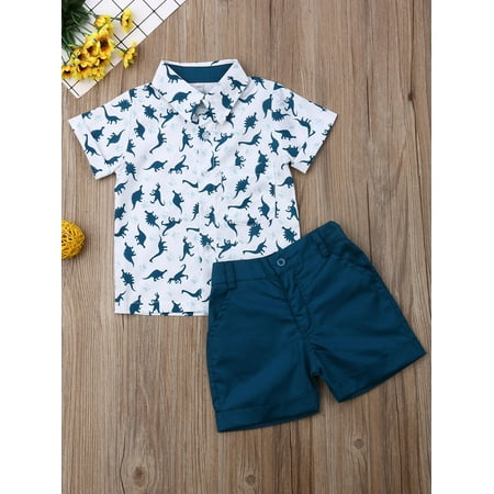 

Huakaishijie Toddler Kids Baby Boys Dinosaur T-shirt Tops Short Pants 2PCS Outfits Sets 1-6Years