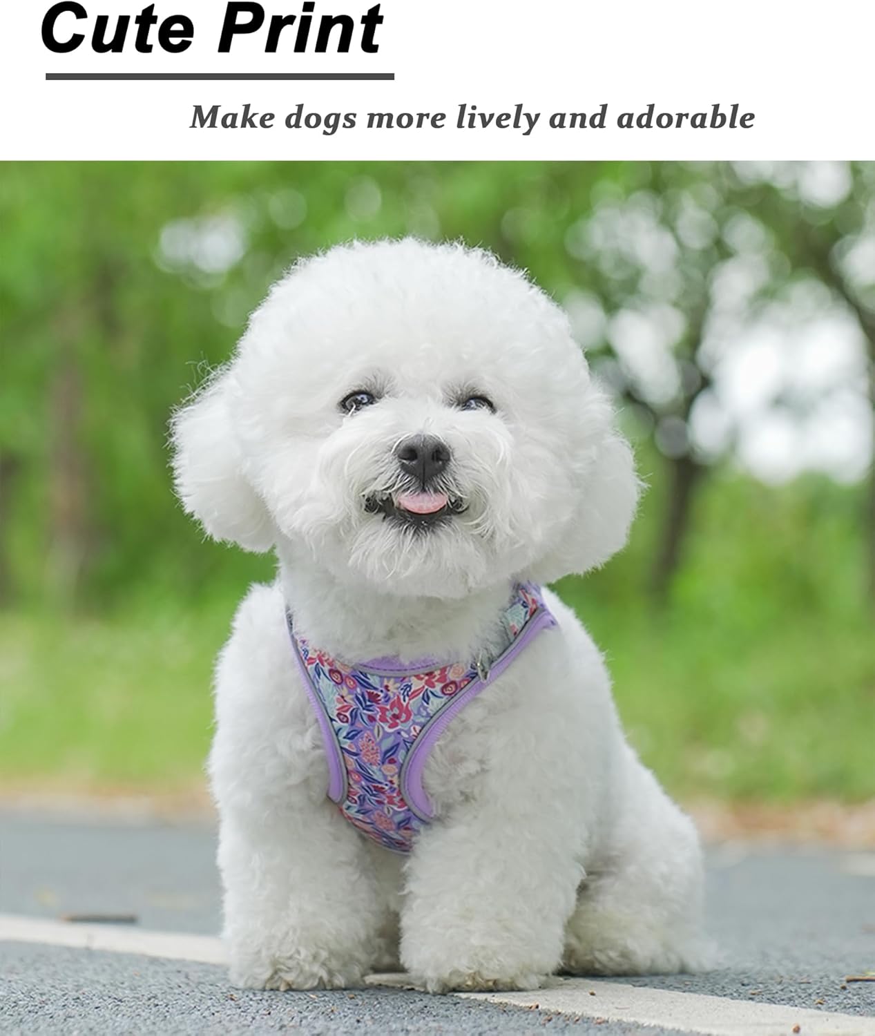 XS Light Purple Flower Pattern Dog Harness and Leash Set,No Escape Puppy Harnesses for Training Walking，Breathable Adjustable Puppy Vest for Small Medium Dogs, Cats (Light Purple, XS)