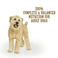 thumbnail image 2 of Beneful Prepared Meals Beef Stew Flavour, Wet Dog Food 283 g, 2 of 9