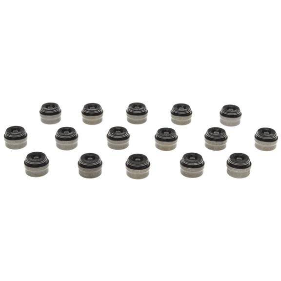 Mahle Engine Valve Stem Oil Seal Set SS46067