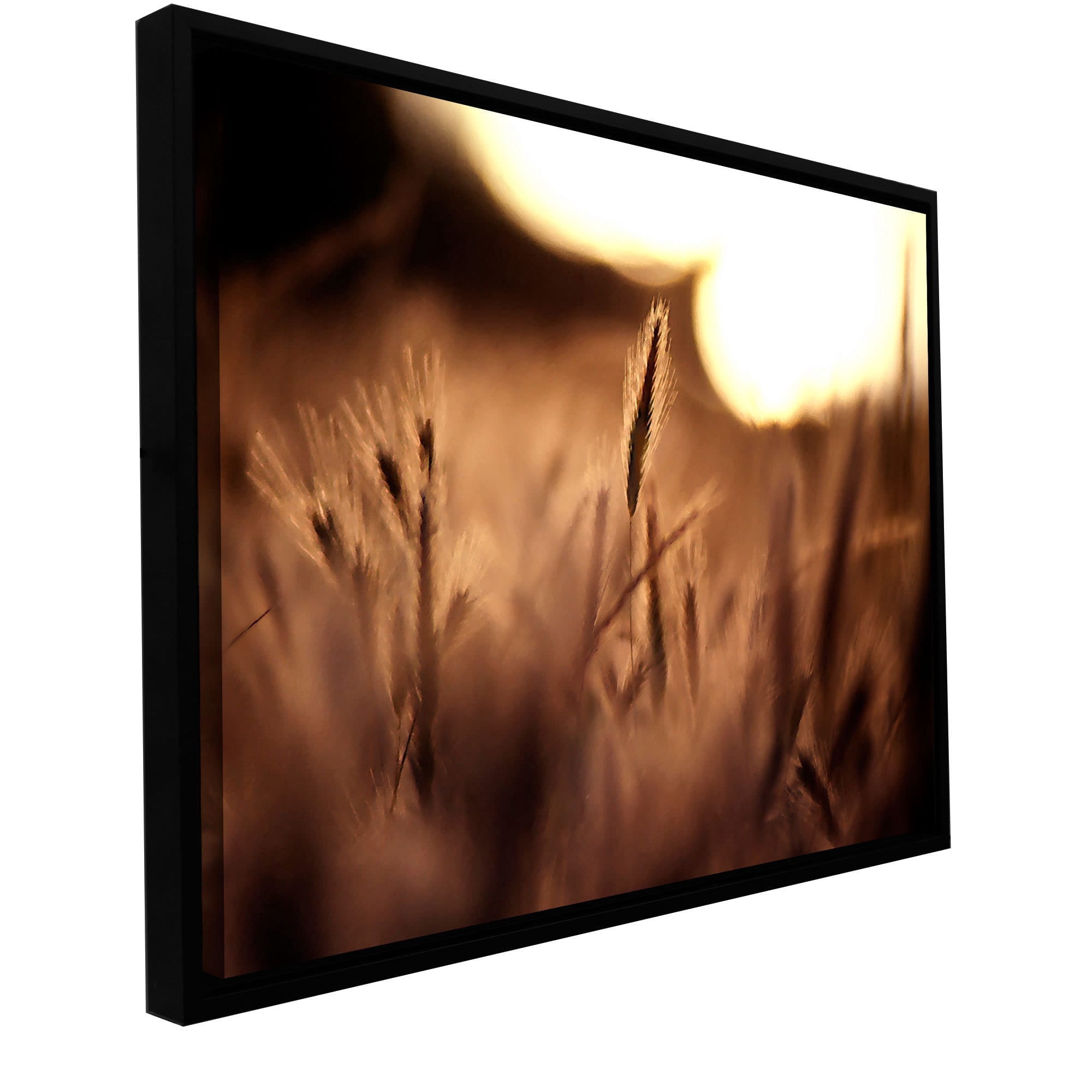 ArtWall Dean Uhlinger "Summer Field" Floater Framed Gallery-Wrapped Canvas