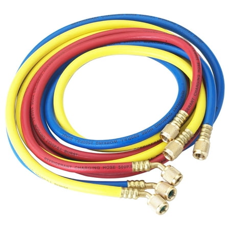 Robinair 30060 Standard Hoses with Standard Fittings Set 60
