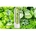 thumbnail image 4 of 2 Pack Herb Saver for Refrigerator, Fresh Herb Keeper, Herb Saver Pod Containers, Herb Fresh Keeper for Refrigerator,Herb Storage for Cilantro,Parsley, Asparagus,Keeps Vegetables Fresh for 2-3 Week, 4 of 6