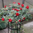thumbnail image 4 of Decorative Umbrella Shape Plant Support Stake Easy Install with Sturdy Structure for Climbing Vegetables, Flowers, and Vertical Climbers, 4 of 7