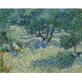 thumbnail image 2 of van Gogh, Vincent 18x15 Black Ornate Wood Framed with Double Matting Museum Art Print Titled - Olive Orchard, 2 of 4