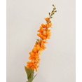 thumbnail image 1 of 3 flores artificiales: delfinios flocados, flores de seda, decoración for el hogar, decoración for bodas, jacintos, brotes de helecho, 1 of 2