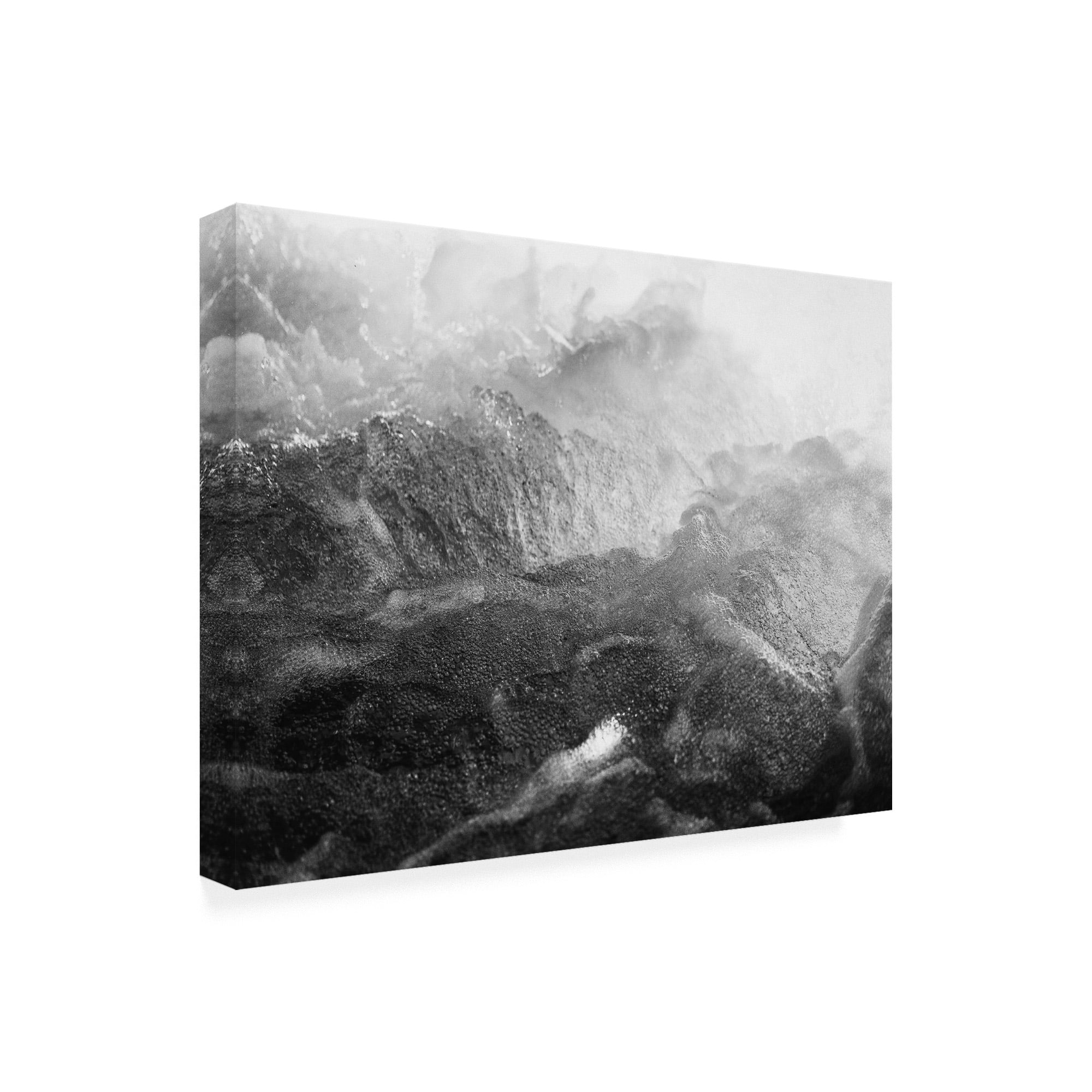 Trademark Fine Art 'Black Motion Fabrikken' Canvas Art by Design Fabrikken