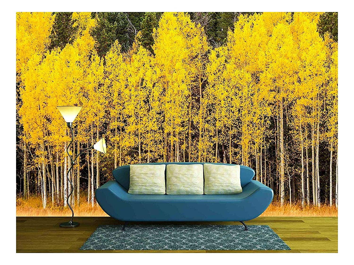 wall26 Stand of Changing Yellow Aspen Tree in Front of Dark Green
