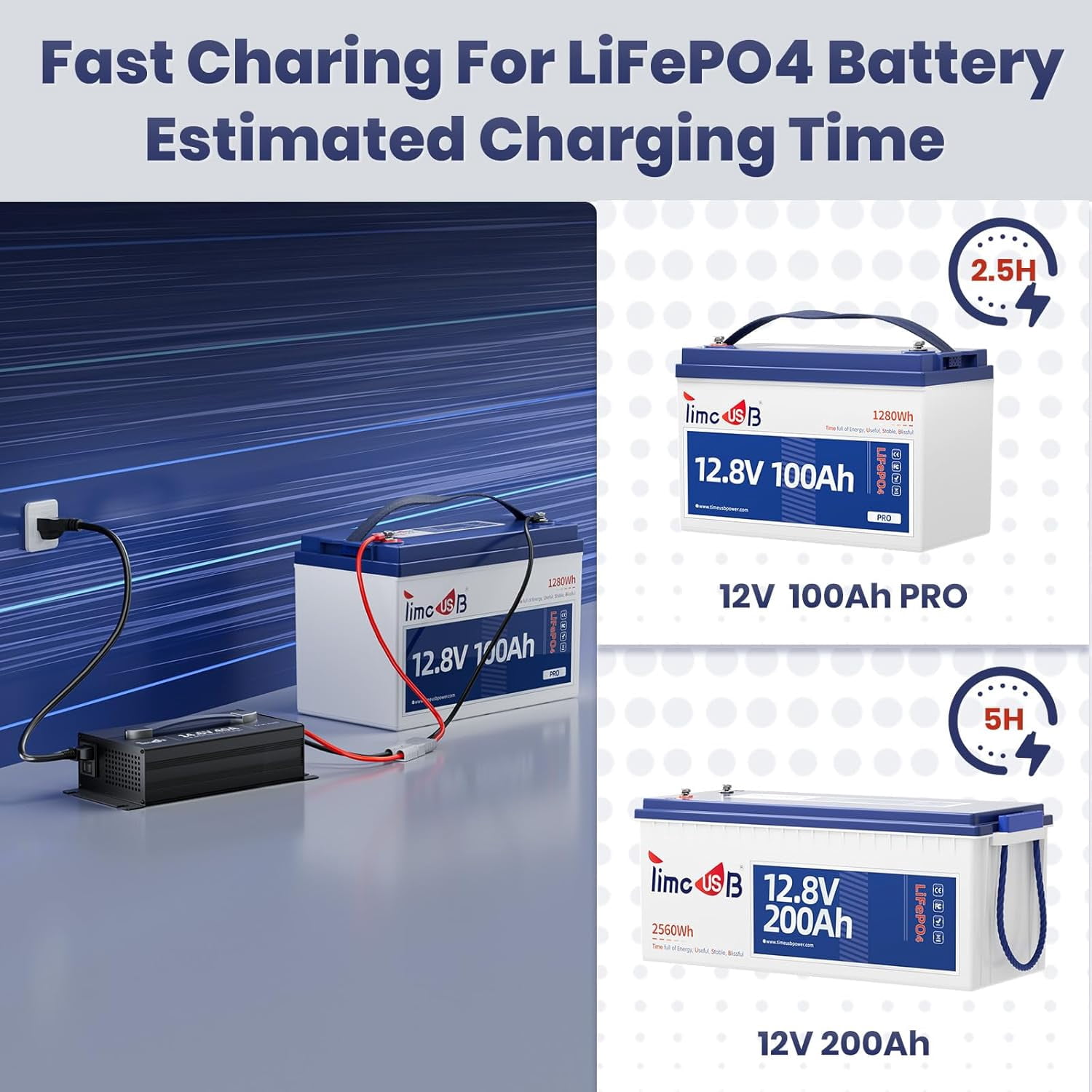 Timeusb 14.6V 40A Fast Charging LiFePO4 Battery Charger with 40A Large Output Current, Smart Activation Function Lithium Battery Charger with LED Indicator & Wire Lugs, Wall Mounted Design
