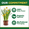 thumbnail image 6 of ZCLP Organic Berry-Tone 4-3-4 Natural & Organic Fertilizer and Plant Food for All Berries. 4 lb. Bag. Use for Planting & Feeding to Promote Bountiful Harvest - Pack of 2, 6 of 7