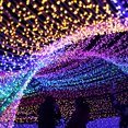 thumbnail image 2 of ZheElen Light String 100 LED 10m Fairy Lamp Starry Lighting Xmas Party Wedding Decoration US Plug, Green, 2 of 6