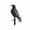 Style D, variant on LOWLHOME Halloween Crow Decorations,Realistic Black Feathered Birds Home Tree Decor,Lifelike Ravens & Magpies Ornament for Halloween Decoration & Garden Displa(28*16in,Style B)