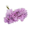 thumbnail image 3 of VONKY Plastic Flower Heads Handmade DIY artificial Simulation Bouquet Stamen for Wedding Gift Decoration 6Pcs Type 6, 3 of 6