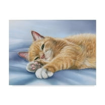 Trademark Fine Art 'Jack Cat' Canvas Art by Janet Pidoux