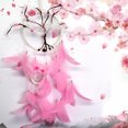 thumbnail image 4 of Colgante de Dulces con Plumas Decoración para hogar Ornamento Hecho Rosa CUTICAT Dream Catcher, 4 of 7