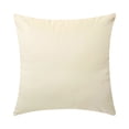thumbnail image 1 of WHEANG Clearance Decorative Throw Pillow Bundle Set Light Coffee Gradient Silky Velvet With Inserts 22 X 22, 1 of 3