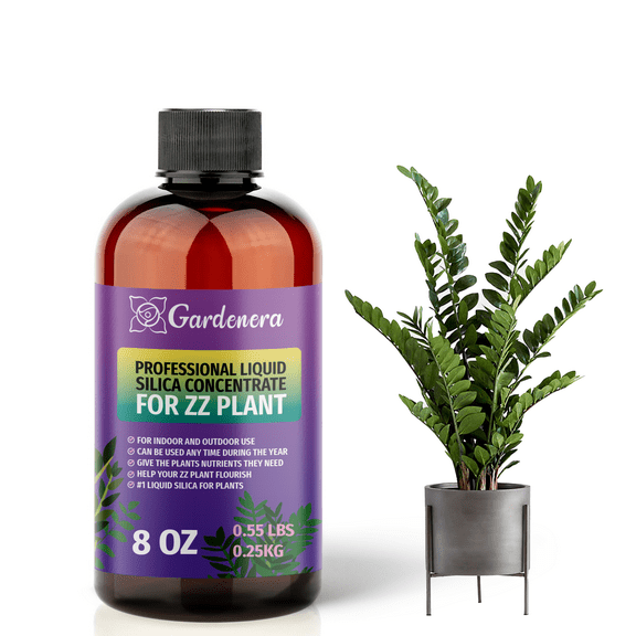 β PREMIUM Bioavailable Silica Fertilizer for ZZ Plant β 8oz β Ideal for Hydroponics & Soil β Healthier Plants with Strong Stalks - CONCENTRATE