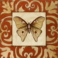 thumbnail image 2 of Great Art Now Moroccan Butterfly II by Patricia Pinto, Framed Wall Art, 13.25W x 13.25H, 2 of 3