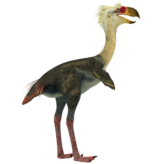 Phorusrhacos an extinct genus of flightless predatory birds Canvas Art - Corey FordStocktrek Images (29 x 29)