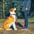 thumbnail image 2 of Dog Leash Reflective Nylon Leashes Medium Large Puppy Durable Collar Leashes Lead Rope For Cat Big Small Pet Harness _jiue, 2 of 2