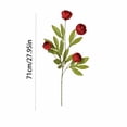 thumbnail image 2 of Peony Artificial Flowers for Tabletop and Home Decor - 28 Inch Long Hobby Faux Peony Flowers,Champagne Tone Floral Decorations for Living Room Accents,1 Piece Artificial Flower, 2 of 5
