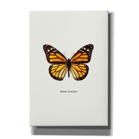 Epic Graffiti 'Yellow Butterfly' by GraphINC, Giclee Canvas Wall Art, 18"x26"
