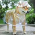 thumbnail image 2 of Ropa impermeable transparente para cachorros y perros, impermeable con capucha para mascotas, chaqueta impermeable, ropa de PVC suave, impermeable para perros pequeños, Poncho de lluvia para cachorros, 2 of 5