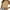 Khaki, variant on Giftesty Womens Tanks Clearance Sexy Casual Women's Sleeveless Solid Round Neck Tops Ladies Blouse Crop Vest