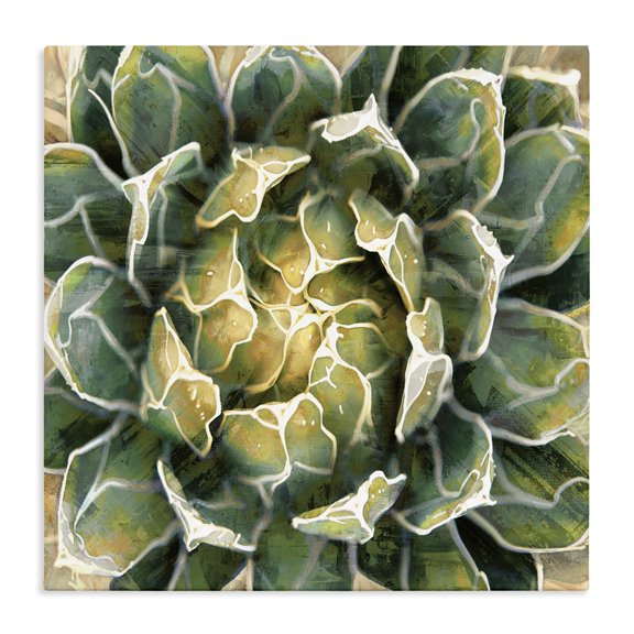 Stupell Industries Modern Leafy Succulent Plant Nature Canvas Art, 17 x 17, by Lindsay Benson