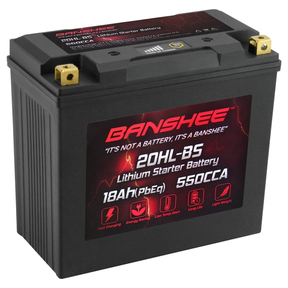 Banshee GYZ20HL Lithium LiFePO4 Battery Compatible with CF Moto UFORCE 600 2013